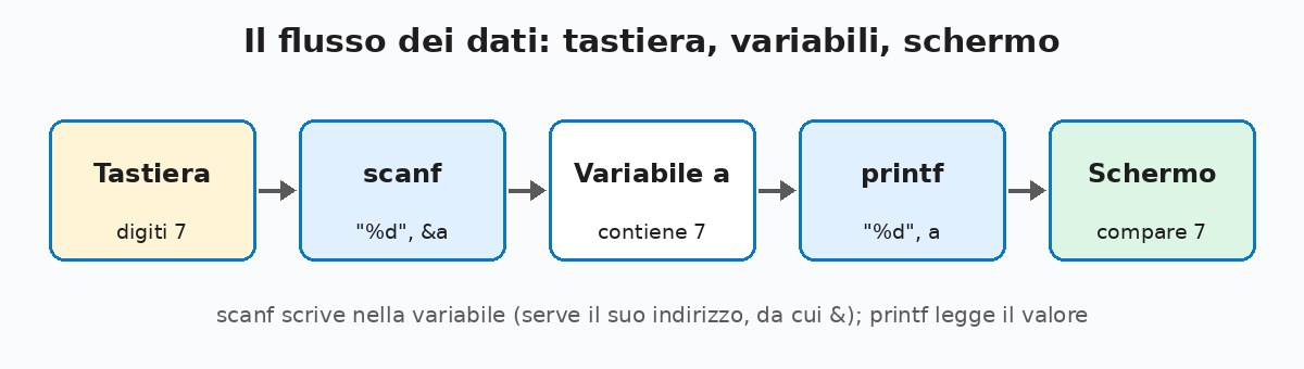 Flusso dei dati: tastiera, scanf, variabile, printf, schermo
